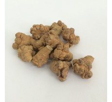 田七 (40頭) 原色 (每兩)